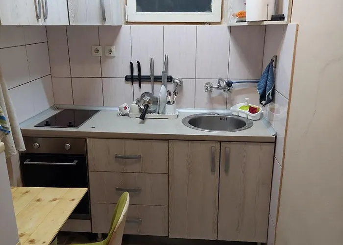 شقة Dvorisni U Centru Novog Sada