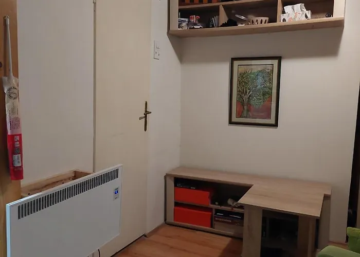 Dvorisni U Centru Novog Sada شقة